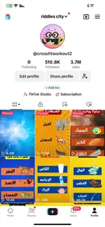 Premium tiktok account on sale.webp